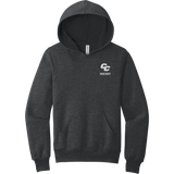Curry College Youth Sponge Fleece Pullover Hoodie